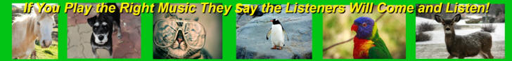 ANIMALS AND PETS LOVE BROADCASTMATE MUSIC RADIO